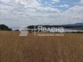 Продава  Парцел област Бургас , гр. Царево , 500 кв.м | 41100387 - изображение [4]