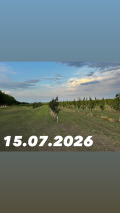 Продава  Земеделска земя област Пазарджик , с. Симеоновец , 25 дка | 48269193 - изображение [5]