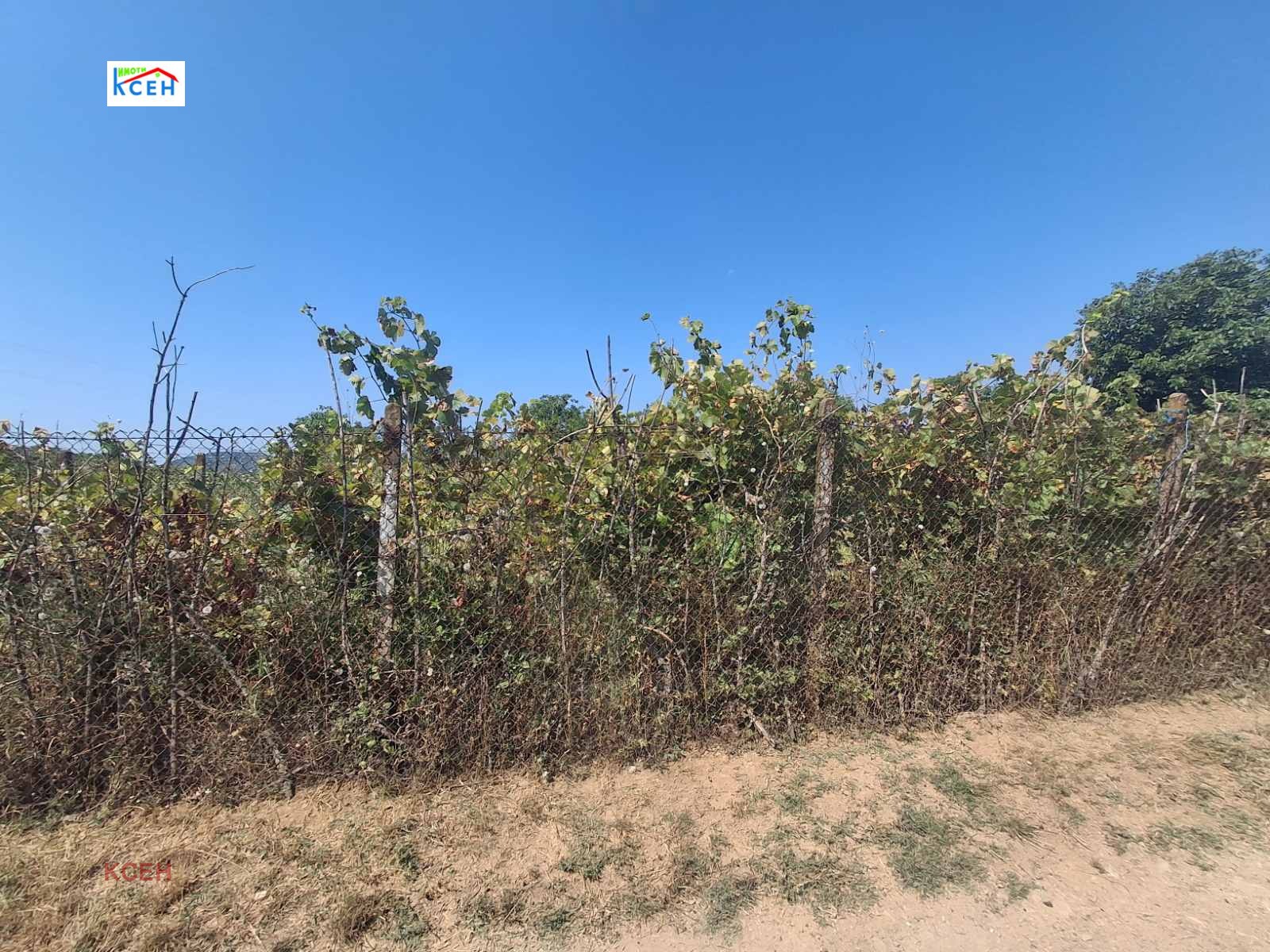 Продава ПАРЦЕЛ, гр. Търговище, Вилна зона, снимка 3 - Парцели - 55628253