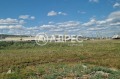 Продава  Парцел област Варна , гр. Белослав , 5031 кв.м | 95880110 - изображение [4]