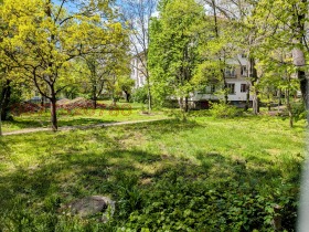 ����� ������� 3-�����,���� �����, �����