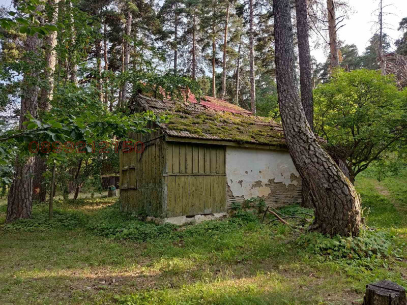 Продава ВИЛА, яз. Батак, област Пазарджик, снимка 10 - Вили - 52769850