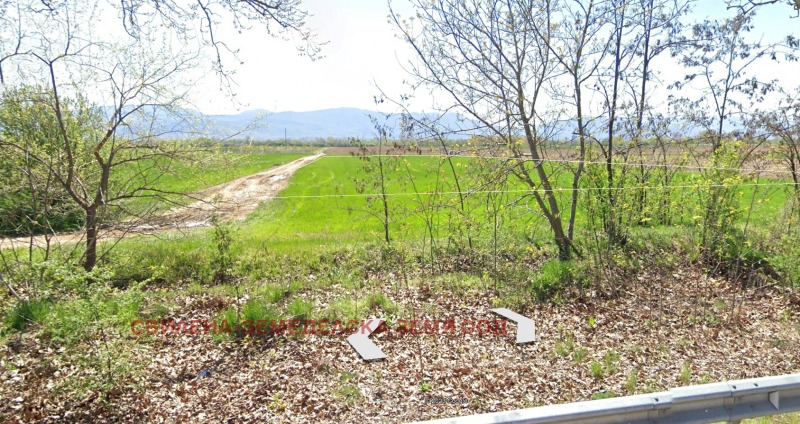 Продава  Земеделска земя област Пловдив , с. Цалапица , 6.022 дка | 10456229 - изображение [2]