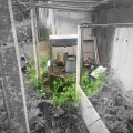Продава КЪЩА, гр. Славяново, област Плевен, снимка 5