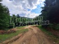 Продава ЗЕМЕДЕЛСКА ЗЕМЯ, с. Бачево, област Благоевград, снимка 2