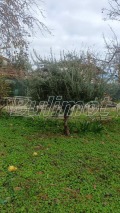 Продава КЪЩА, град Варна, м-т Акчелар • 362500 € • 30305697 — Holmes.bg
