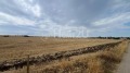 Продава ПАРЦЕЛ, град Варна, м-т Добрева чешма • 64900 € • 51390924 — Holmes.bg