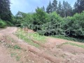 Продава ЗЕМЕДЕЛСКА ЗЕМЯ, с. Бачево, област Благоевград, снимка 6