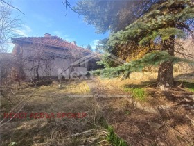 ������ ������� ������