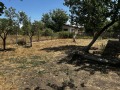 Продава КЪЩА, с. Неофит Рилски, област Варна, снимка 8