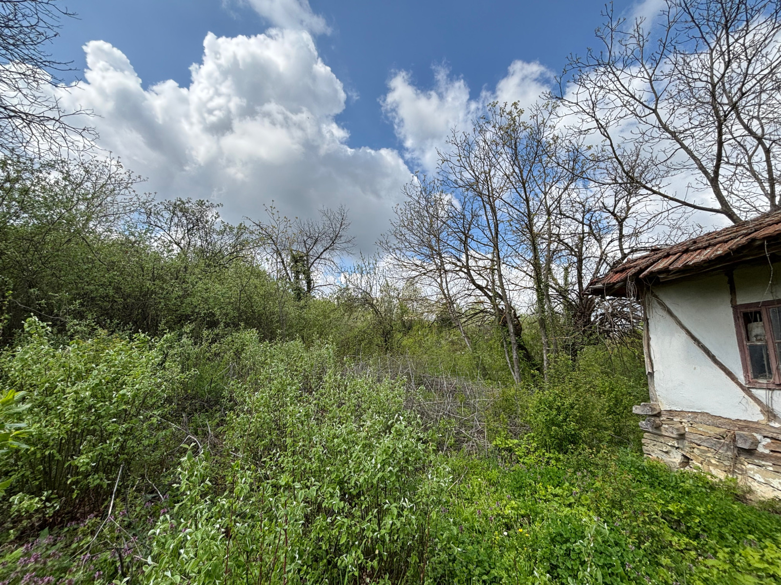������� ���� | Imot.bg � ����������� 5