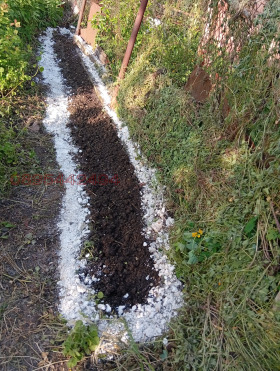 ������� ���� | Imot.bg � ����� ������ 15
