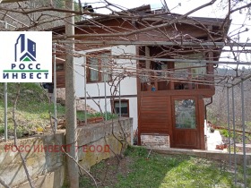 ����� ������� ����,�. �����, ������ ������>