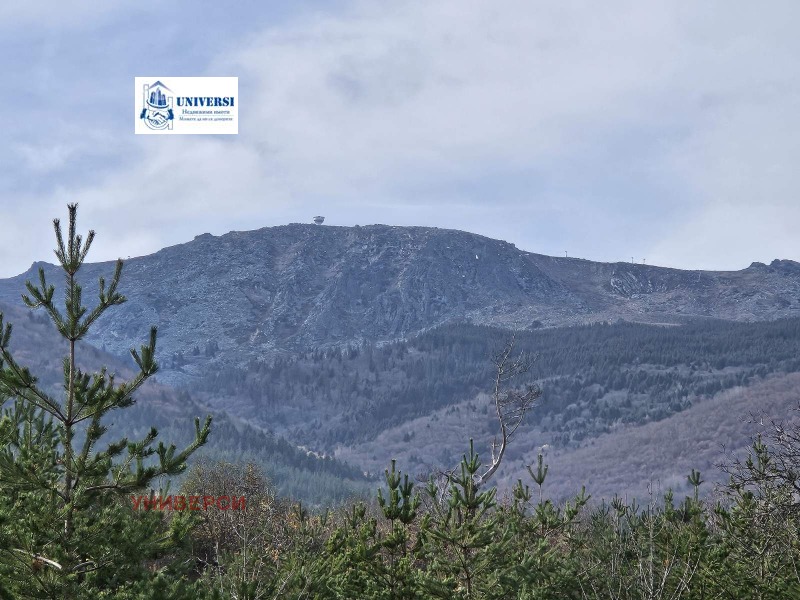 Продава ПАРЦЕЛ, гр. София, с. Бистрица, снимка 4 - Парцели - 52391524