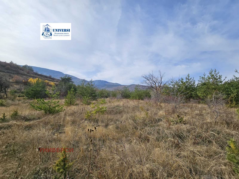 Продава ПАРЦЕЛ, гр. София, с. Бистрица, снимка 3 - Парцели - 52391524