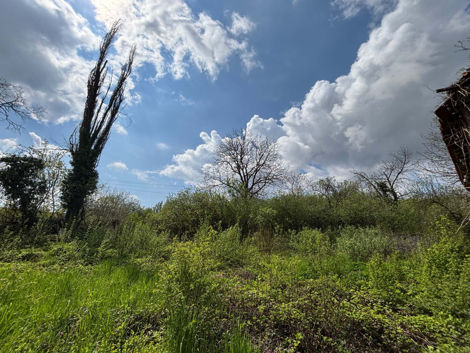 Продава КЪЩА, с. Добревци, област Ловеч, снимка 4 - Къщи - 54238572