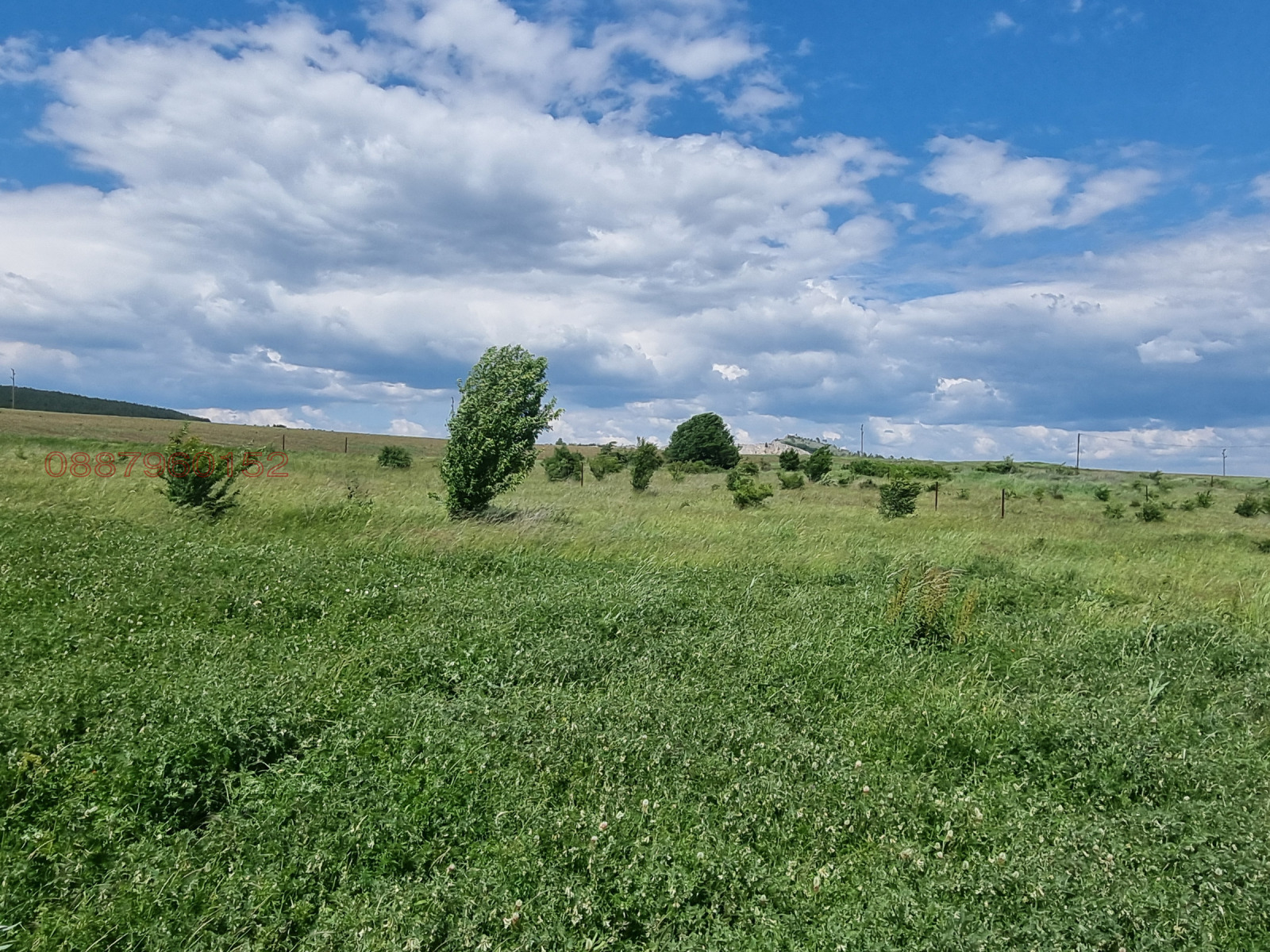 Продава ПАРЦЕЛ, с. Алдомировци, област София област, снимка 2 - Парцели - 54639958