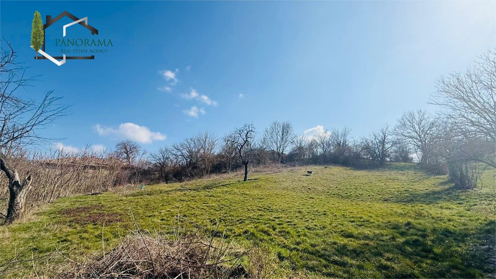 Продава ПАРЦЕЛ, с. Овчарово, област Шумен, снимка 2 - Парцели - 53954007