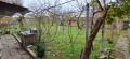 Продава КЪЩА, гр. Плиска, област Шумен, снимка 10