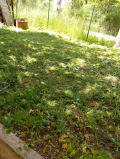 Продава КЪЩА, гр. Божурище, област София област, снимка 13