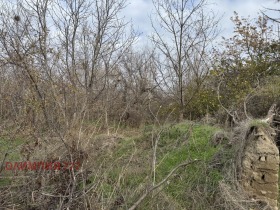 Парцел с. Коиловци, област Плевен 1