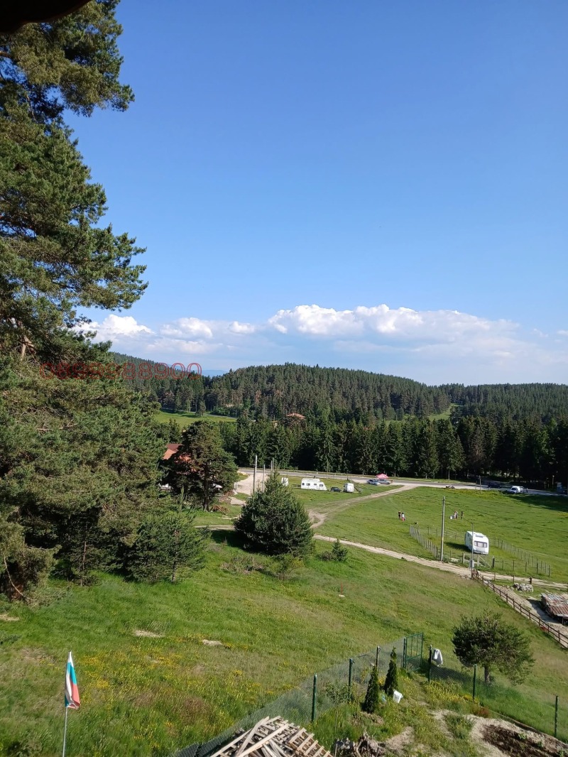 Продава ПАРЦЕЛ, с. Юндола, област Пазарджик, снимка 9 - Парцели - 53462954