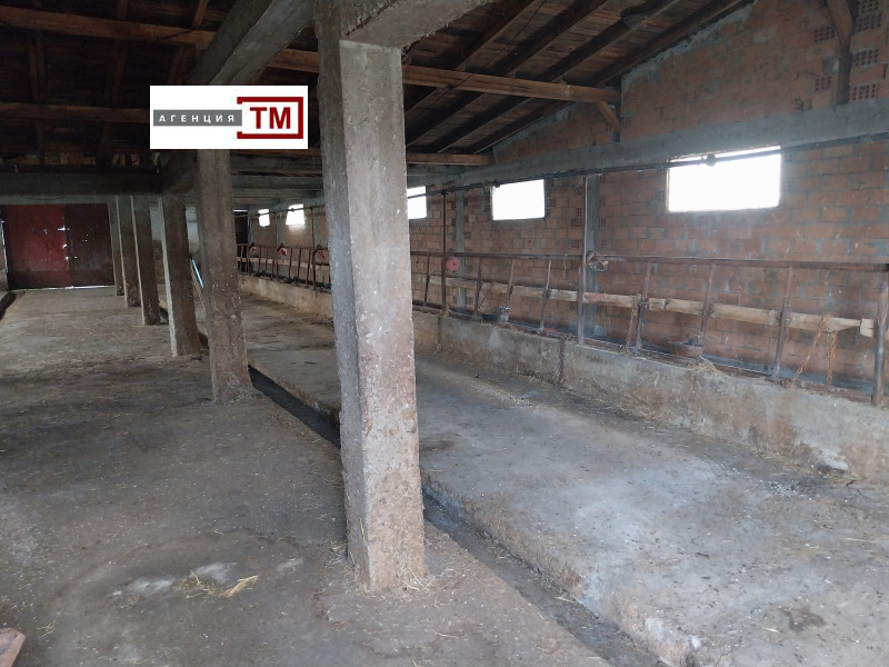 Продава БИЗНЕС ИМОТ, с. Знаменосец, област Стара Загора, снимка 8 - Други - 52290053