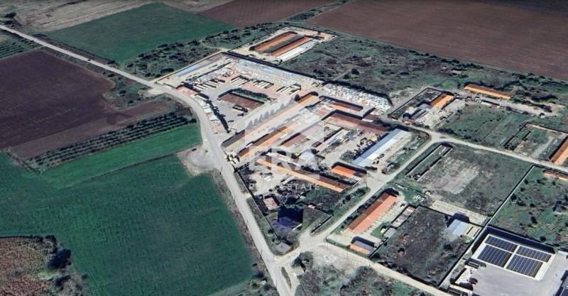 Продава СКЛАД, с. Петърч, област София област, снимка 2 - Складове - 54049229