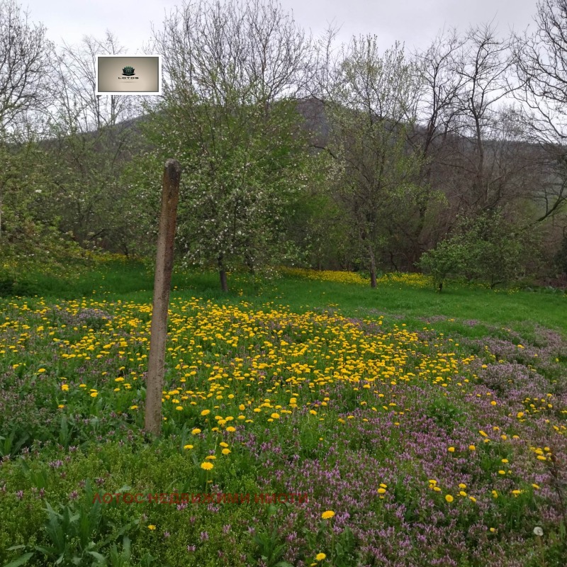 Till salu  Komplott region Veliko Tarnovo , Pisarevo , 5200 kvm | 88948466
