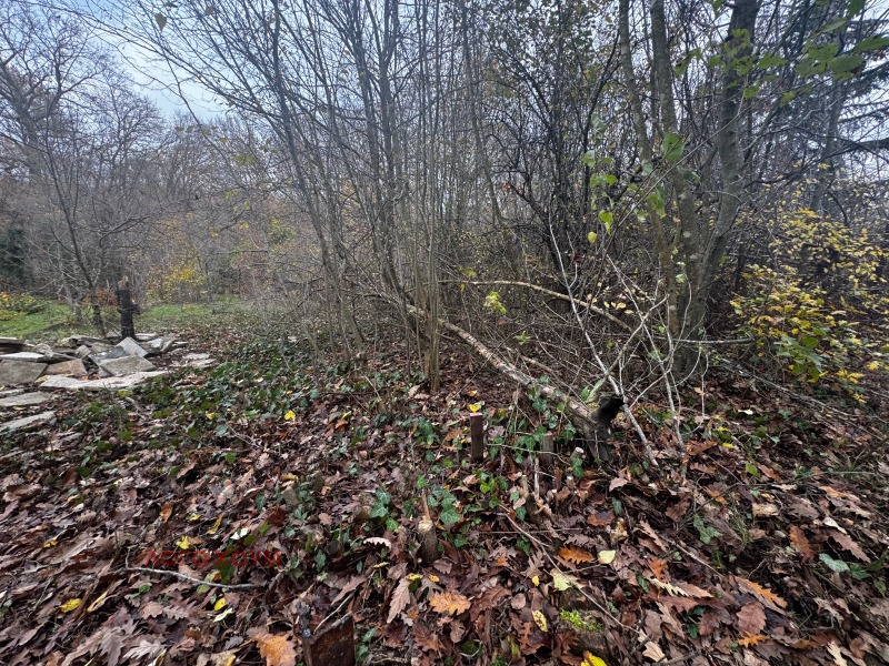 Satılık  Komplo Varna , m-t Borovec - yug , 831 metrekare | 91367055 - görüntü [5]