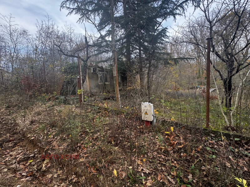 Satılık  Komplo Varna , m-t Borovec - yug , 831 metrekare | 91367055 - görüntü [3]