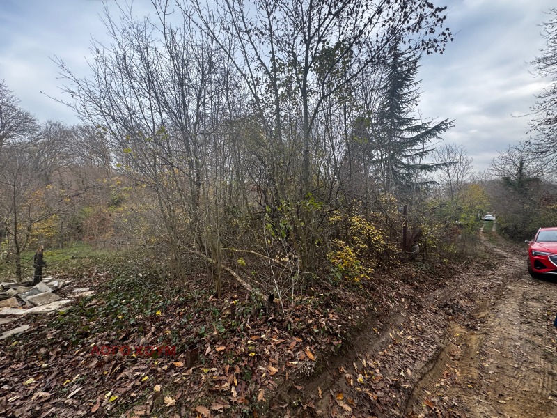 Satılık  Komplo Varna , m-t Borovec - yug , 831 metrekare | 91367055 - görüntü [6]