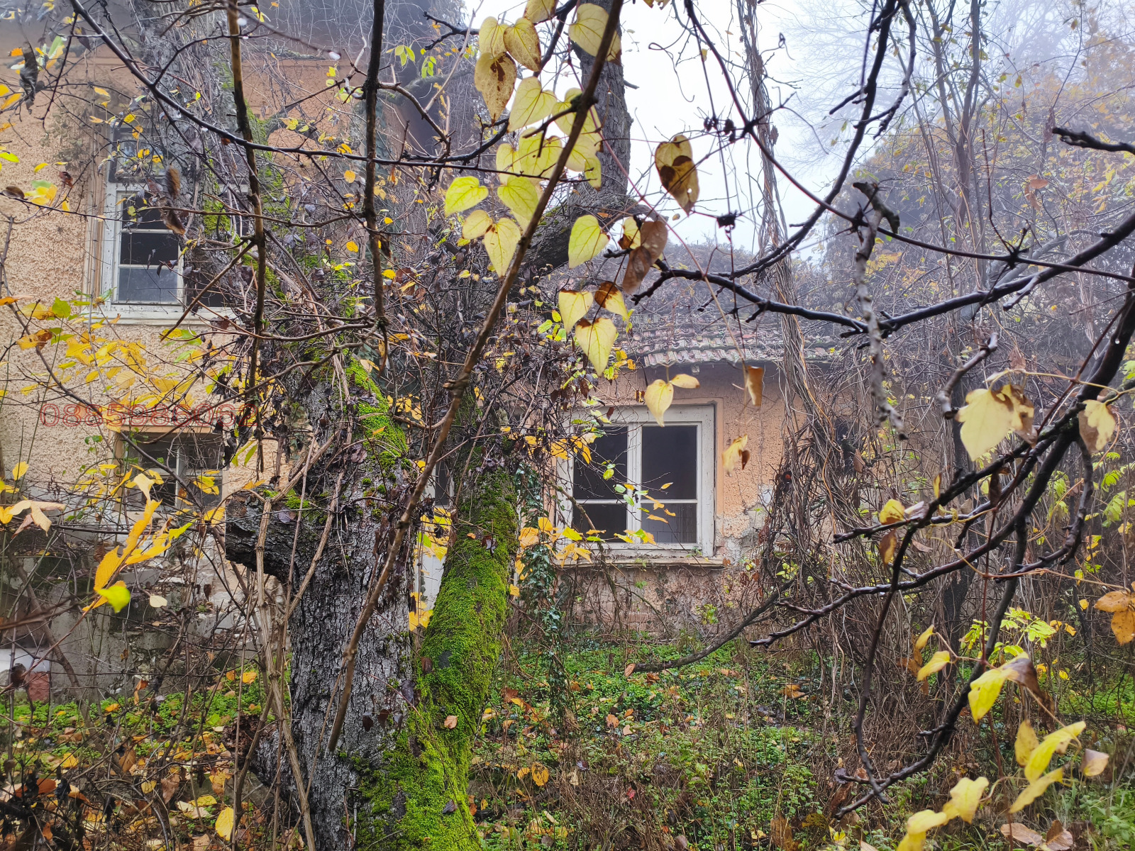 ������� ������ | Imot.bg � ����������� 4