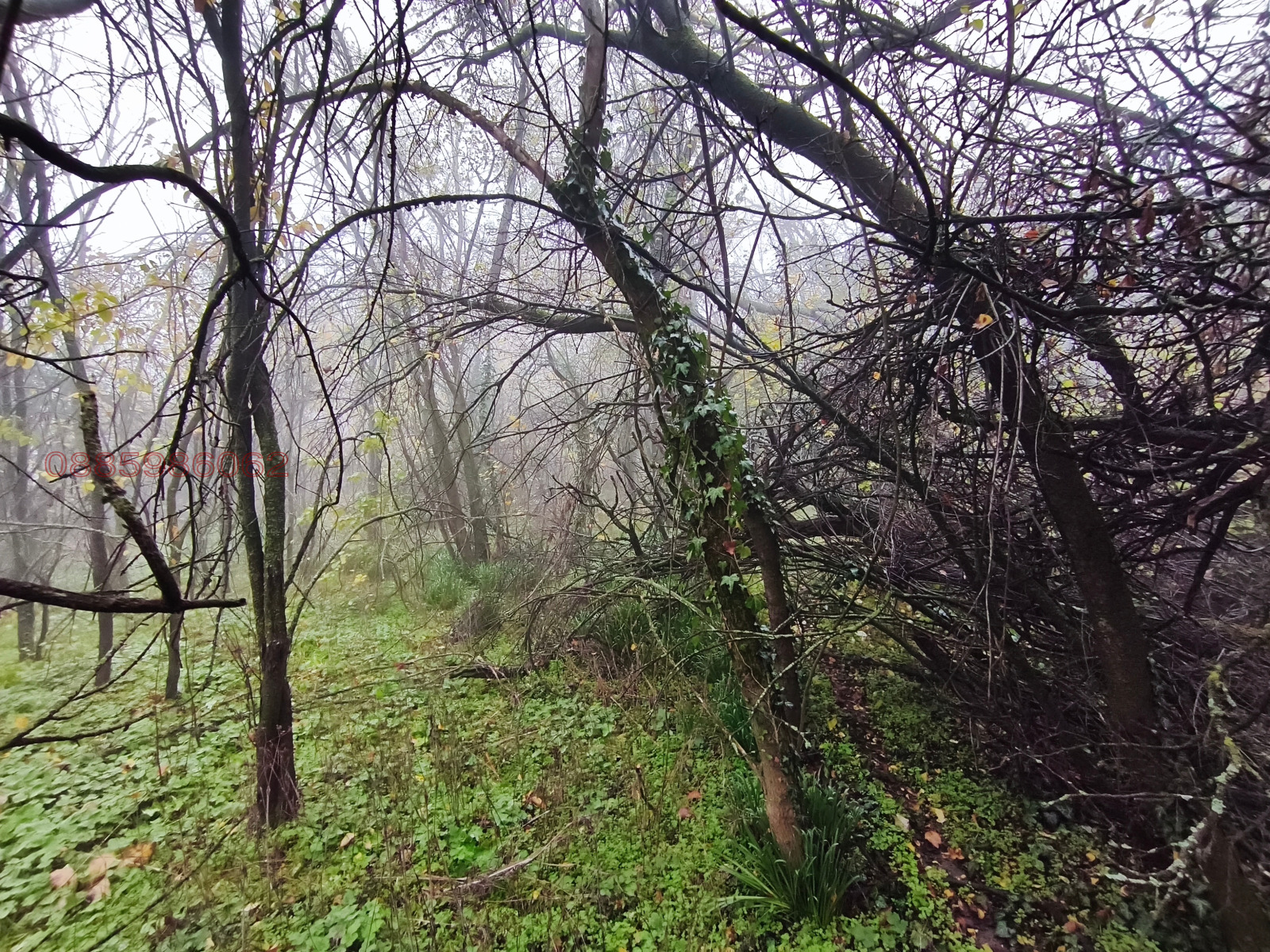 ������� ������ | Imot.bg � ����������� 7