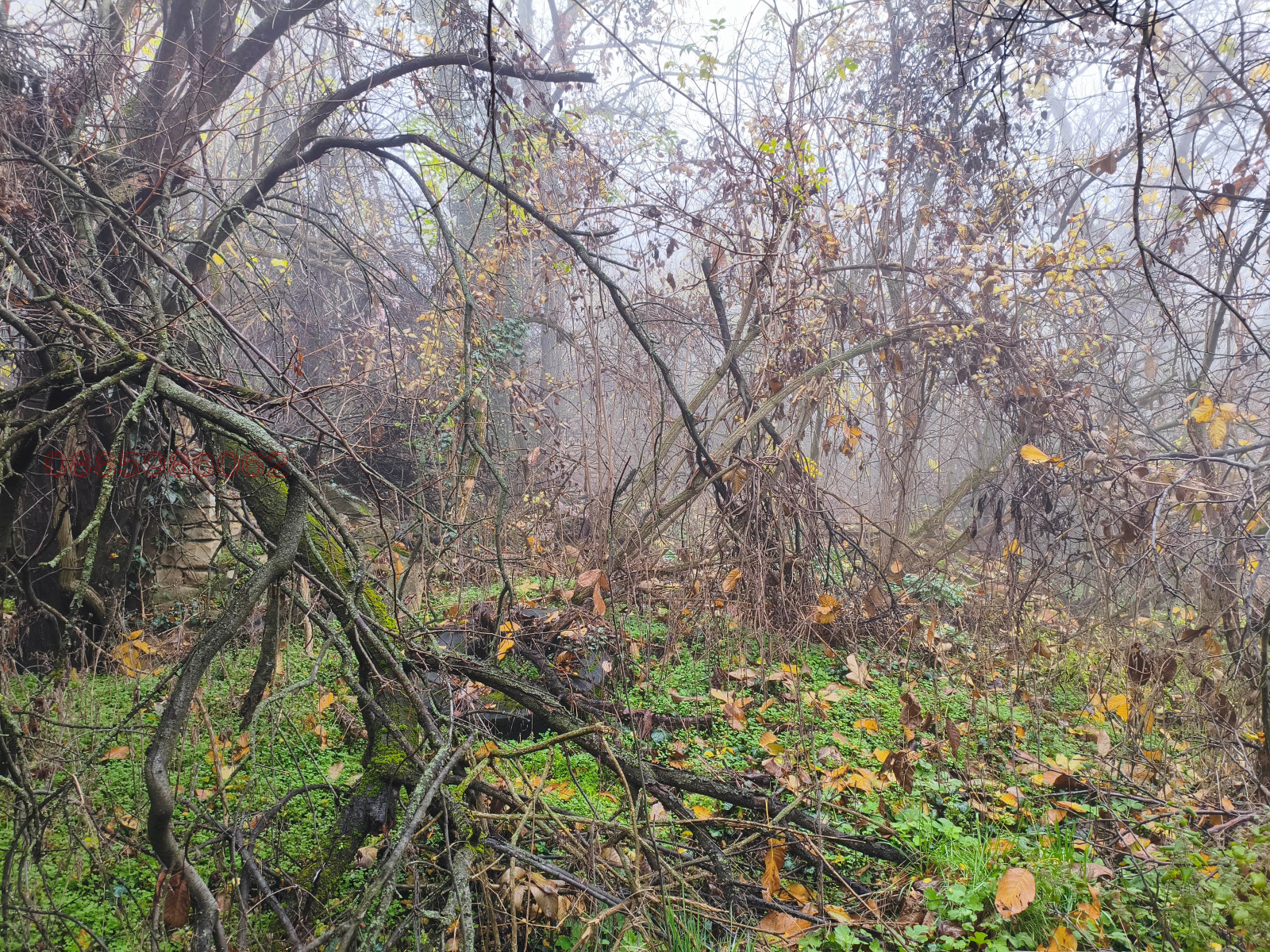 ������� ������ | Imot.bg � ����������� 8