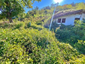 Casa Zlatarica, região Veliko Tarnovo 7