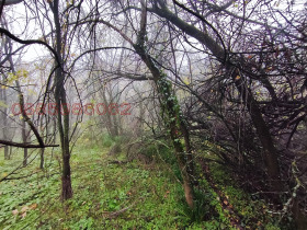 ������� ������ | Imot.bg � ����� ������ 7