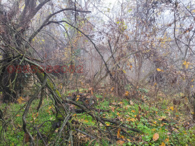 ������� ������ | Imot.bg � ����� ������ 8