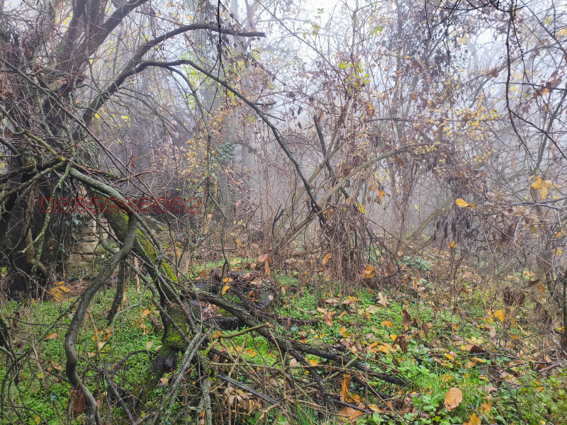 Продава ПАРЦЕЛ, с. Горско Сливово, област Ловеч, снимка 7 - Парцели - 53584045