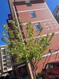 Продава  2-стаен град София , Младост 1А , 56 кв.м | 84498006 - изображение [5]