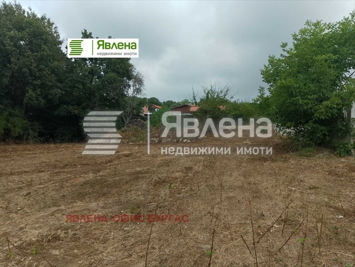 Til salgs  Plott region Burgas , Izgrev , 1081 kvm | 61452479 - bilde [10]