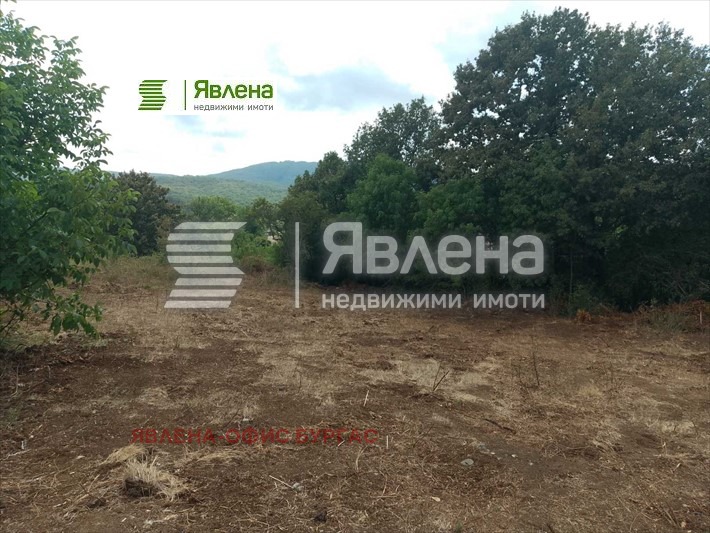 Til salgs  Plott region Burgas , Izgrev , 1081 kvm | 61452479 - bilde [4]
