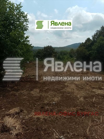 Til salgs  Plott region Burgas , Izgrev , 1081 kvm | 61452479 - bilde [6]