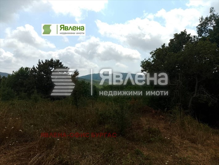 Til salgs  Plott region Burgas , Izgrev , 1081 kvm | 61452479 - bilde [8]