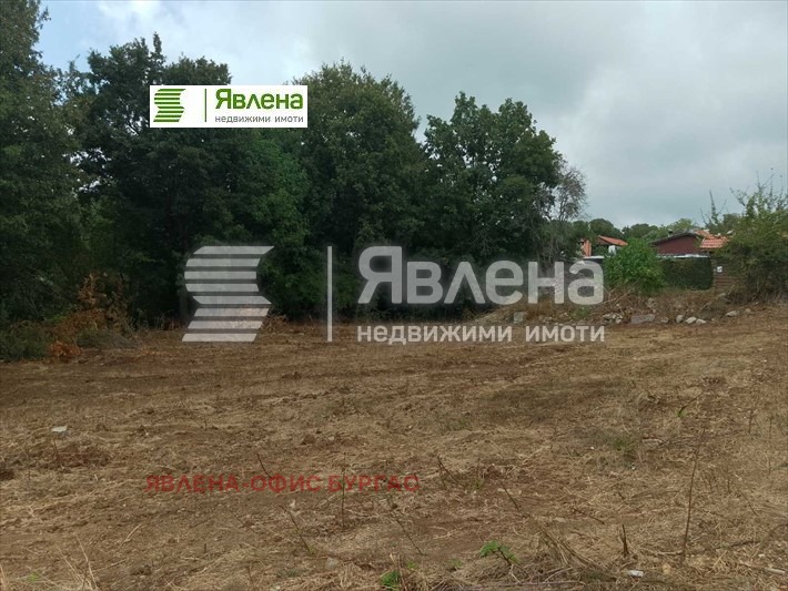 Til salgs  Plott region Burgas , Izgrev , 1081 kvm | 61452479 - bilde [12]