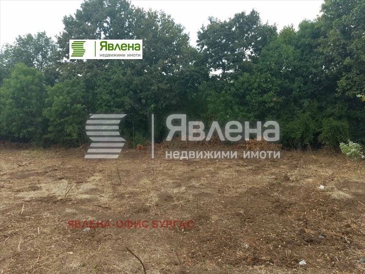 Til salgs  Plott region Burgas , Izgrev , 1081 kvm | 61452479 - bilde [7]