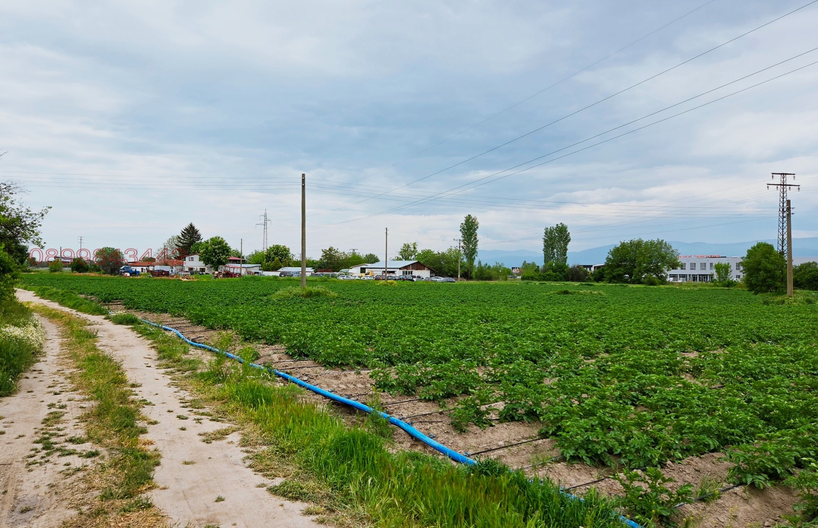 Продава ЗЕМЕДЕЛСКА ЗЕМЯ, с. Царацово, област Пловдив, снимка 5 - Земеделска земя - 55574250