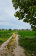 Продава ЗЕМЕДЕЛСКА ЗЕМЯ, с. Царацово, област Пловдив, снимка 4