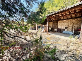 Hus Gorna Lipnitsa, region Veliko Tarnovo