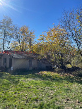 ������� ���� | Imot.bg � ����� ������ 12